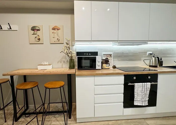 Royal Entire Apartment - Warsaw City Haven